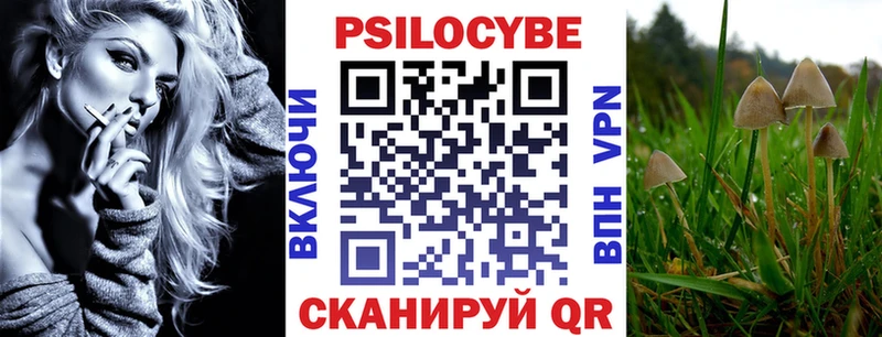 Псилоцибиновые грибы Magic Shrooms  где можно купить   Крым 
